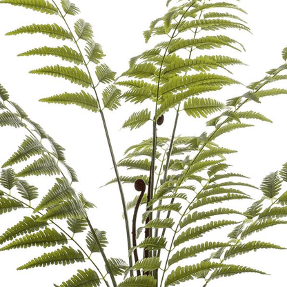 Rumohra Adiantiformis - Ledervaren | Kunstplant 2 - LushLeaf | Online planten bestellen