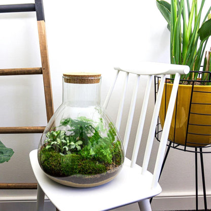 Sam L | DIY terrarium 4 - LushLeaf | Online planten bestellen