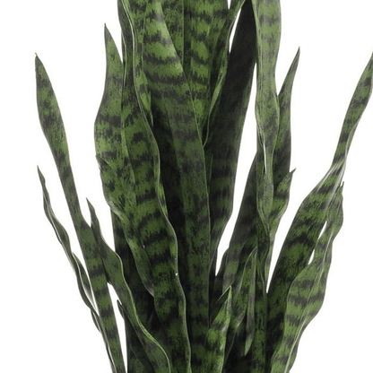 Sanseveria black coral - Vrouwentong | Kunstplant 2 - LushLeaf | Online planten bestellen