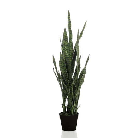 Sanseveria black coral - Vrouwentong | Kunstplant 1 - LushLeaf | Online planten bestellen