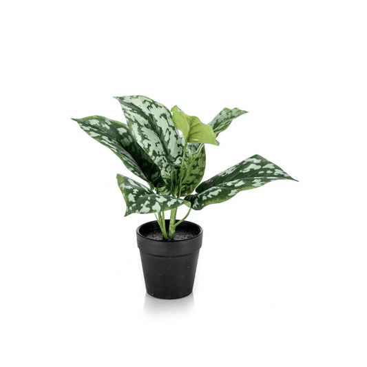 Scindapsus Pictus - Geluksplant | Kunstplant 1 - LushLeaf | Online planten bestellen