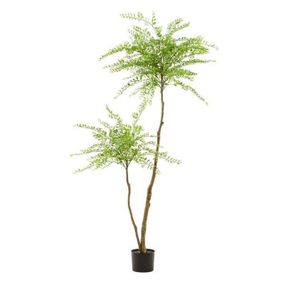 Sophora tree - Honingboom | kunstplant 4 - LushLeaf | Online planten bestellen
