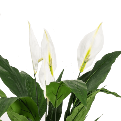 Spathiphyllum - Lepelplant | kunstplant 2 - LushLeaf | Online planten bestellen