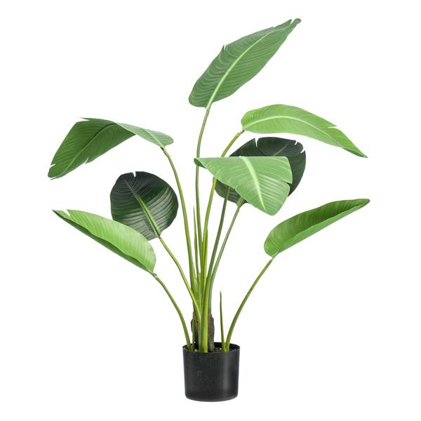 Strelitzia nicolai - Paradijsvogelbloem | kunstplant 1 - LushLeaf | Online planten bestellen