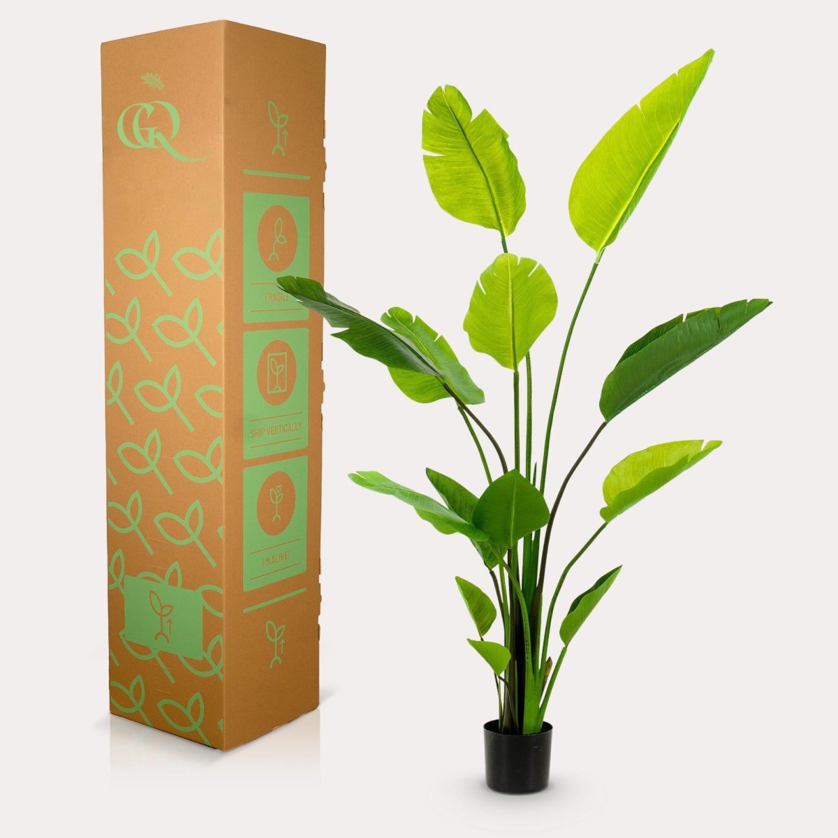 Strelitzia Nicolai - Paradijsvogelbloem | Kunstplant 4 - LushLeaf | Online planten bestellen