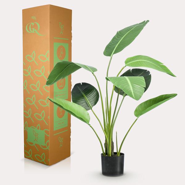 Strelitzia nicolai - Paradijsvogelbloem | kunstplant 3 - LushLeaf | Online planten bestellen