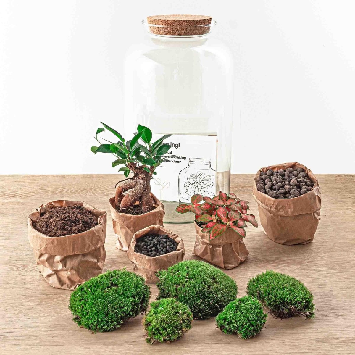 Sven Bonsai | DIY terrarium 2 - LushLeaf | Online planten bestellen