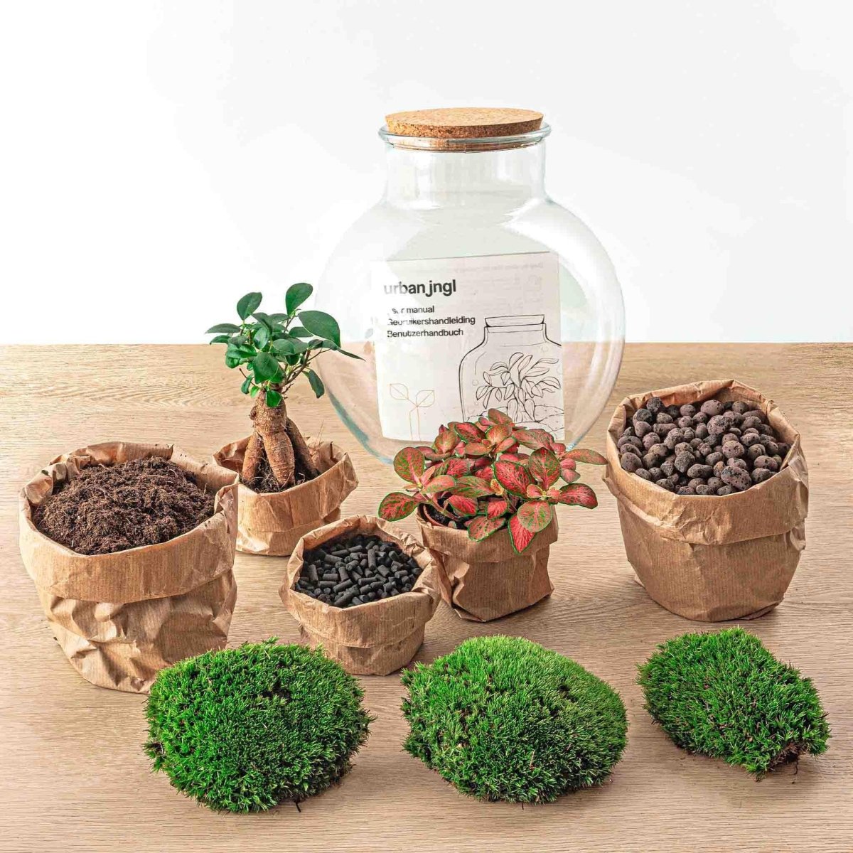 Teddy bonsai | DIY terrarium 2 - LushLeaf | Online planten bestellen