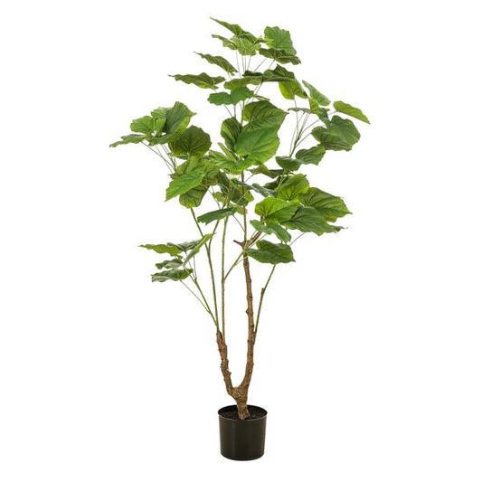 Ficus umbellate - Afrikaanse vijg | Kunstplant