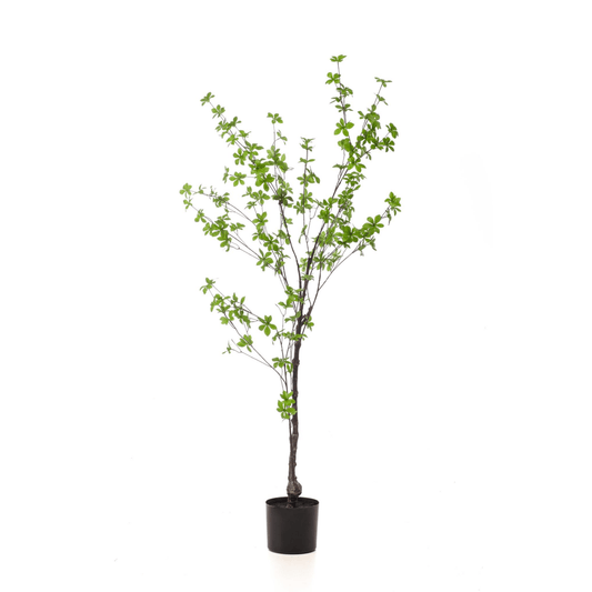Tropaeolum Speciosum - Oost Indische Kers | Kunstplant 1 - LushLeaf | Online planten bestellen