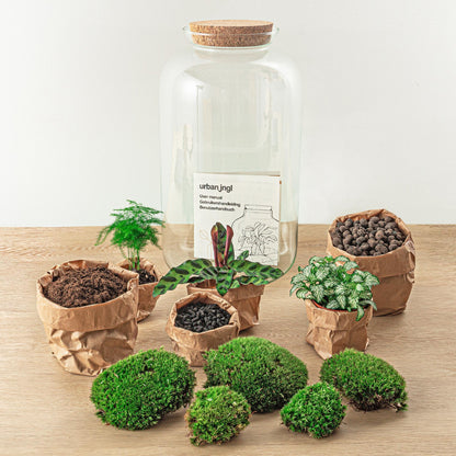 Botanical Sven | DIY terrarium