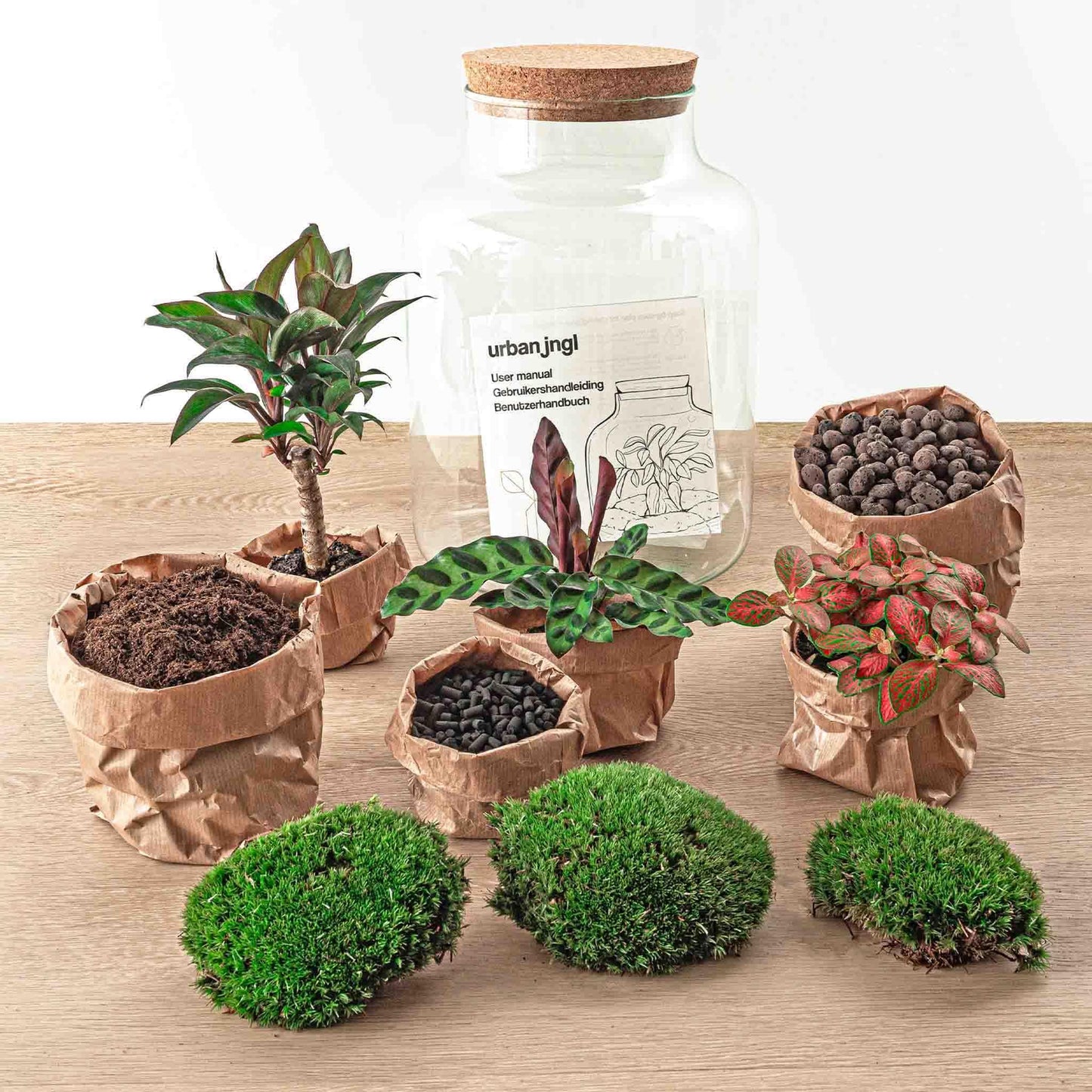 Milky Palm | DIY terrarium