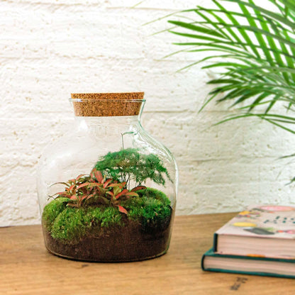 Little Joe | DIY terrarium
