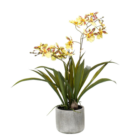 Orchidee Geel | Kunstplant