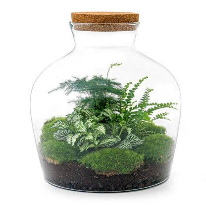 Fat Joe Groen | DIY terrarium