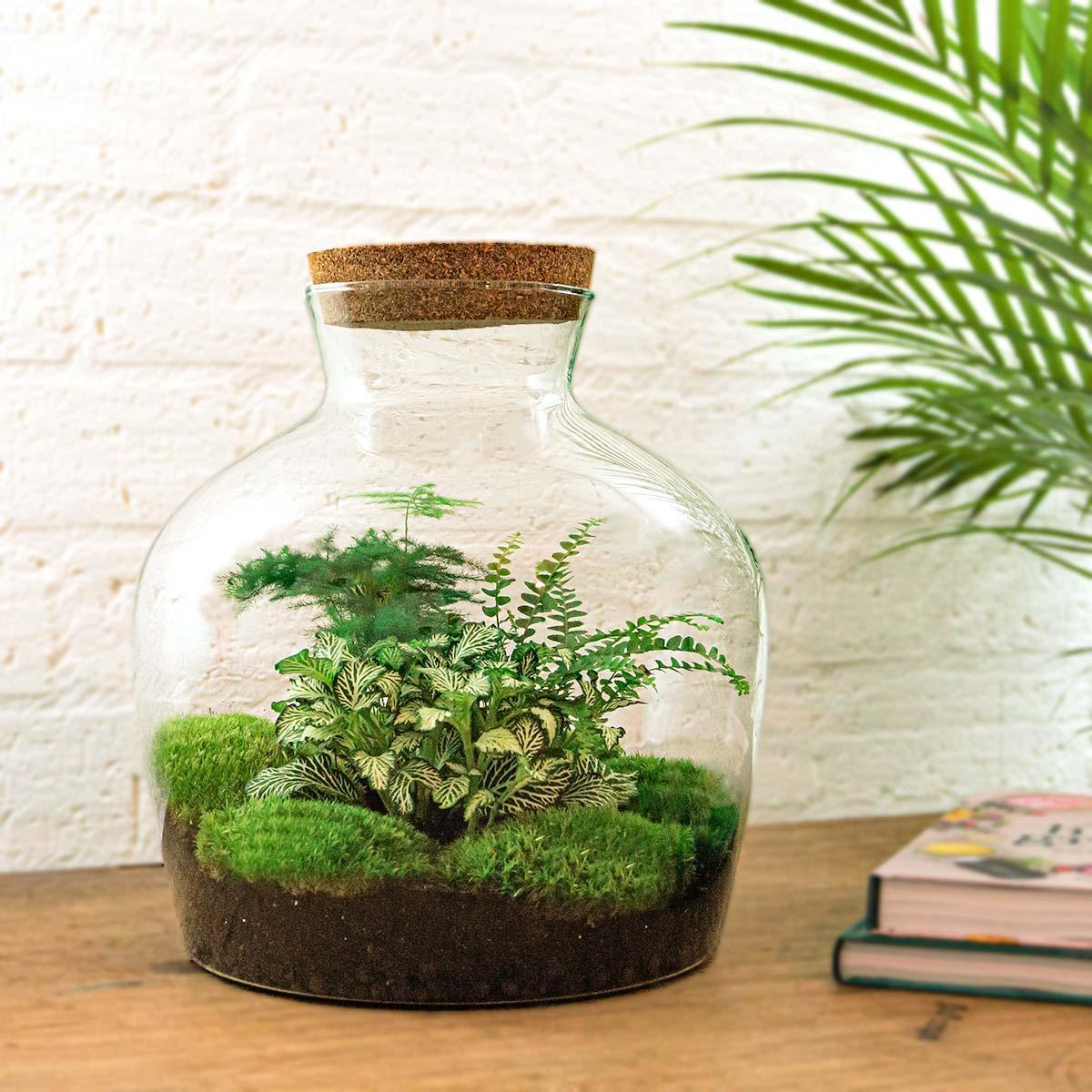Fat Joe Groen | DIY terrarium