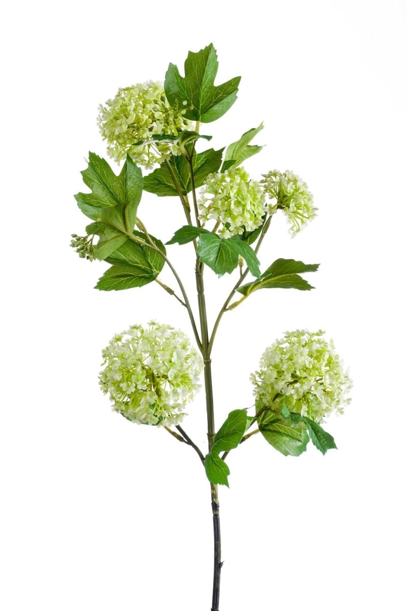 Viburnum Opulus Crème x4 | Kunstbloemen 5 - LushLeaf | Online planten bestellen