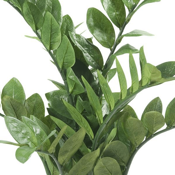 Zamioculcas - Kamerpalm | Kunstplant 2 - LushLeaf | Online planten bestellen