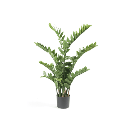 Zamioculcas - Kamerpalm | Kunstplant 5 - LushLeaf | Online planten bestellen
