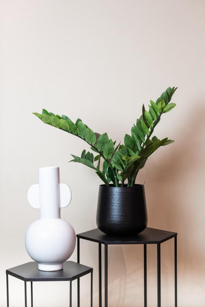 Zamioculcas - Kamerpalm | Kunstplant 3 - LushLeaf | Online planten bestellen