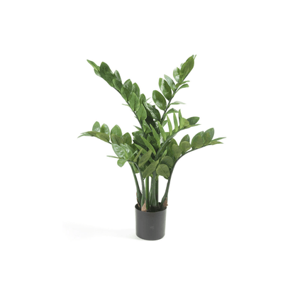 Zamioculcas - Kamerpalm | Kunstplant 1 - LushLeaf | Online planten bestellen