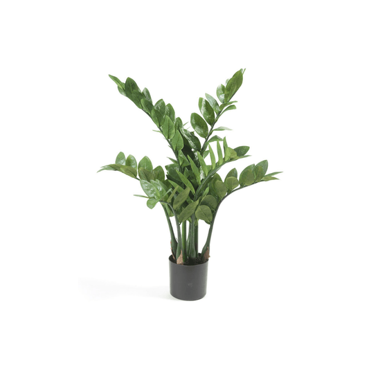 Zamioculcas - Kamerpalm | Kunstplant 1 - LushLeaf | Online planten bestellen